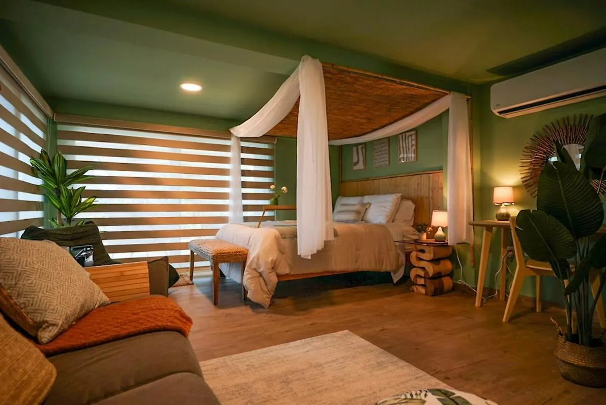 Villa Bali Entire Private Villa 5R 6Br & Pool Puerto Rico