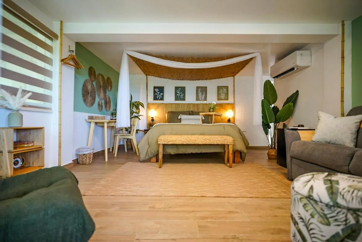 Villa Bali Entire Private Villa 5R 6Br & Pool Puerto Rico