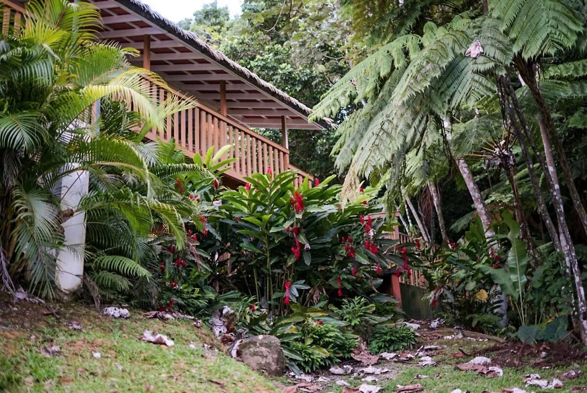 Villa Bali Entire Private Villa 5R 6Br & Pool Puerto Rico